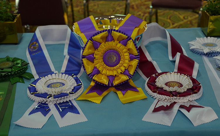 Specialty Ribbons